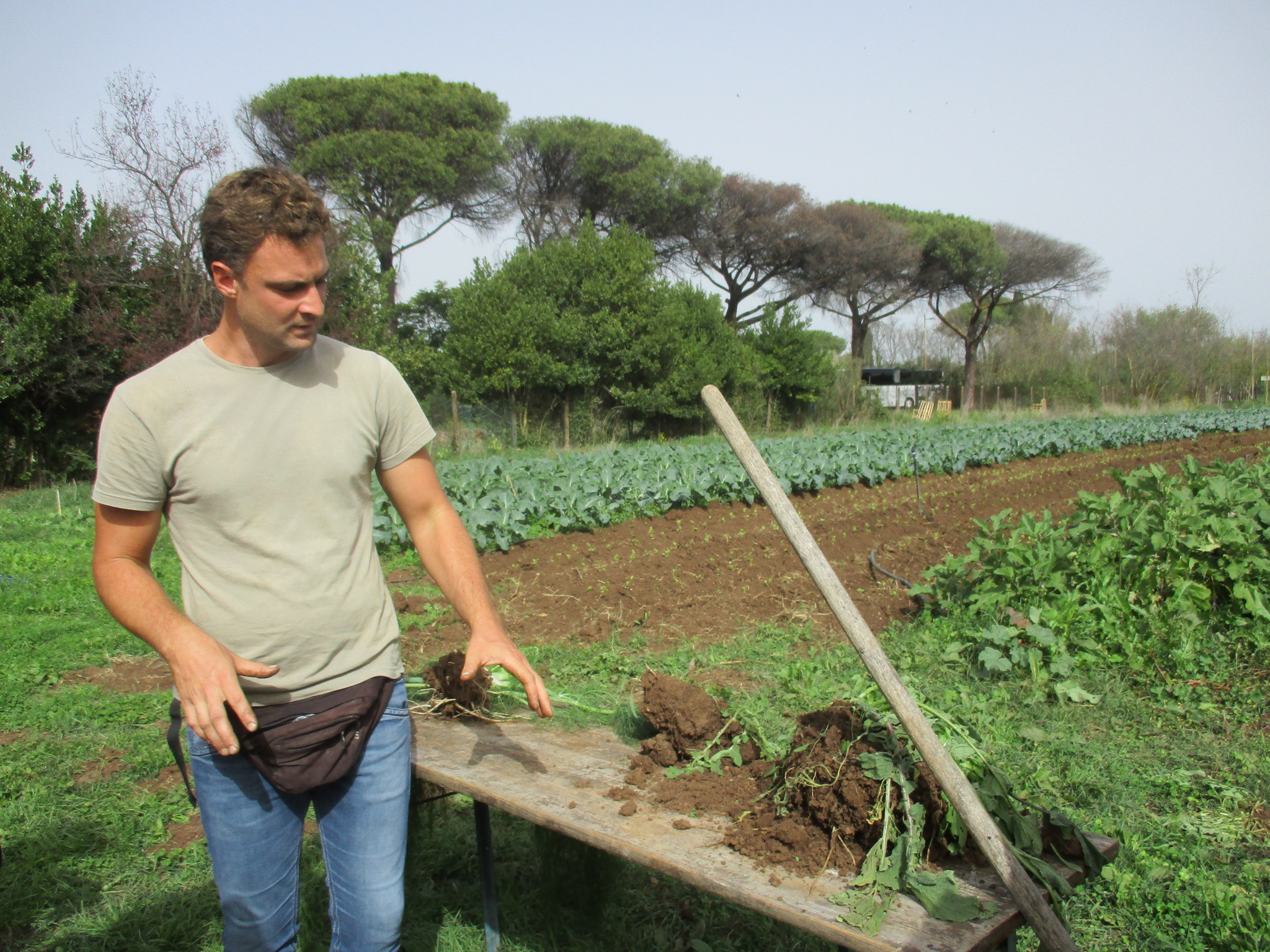 AZIENDA AGRICORA VALERIO1